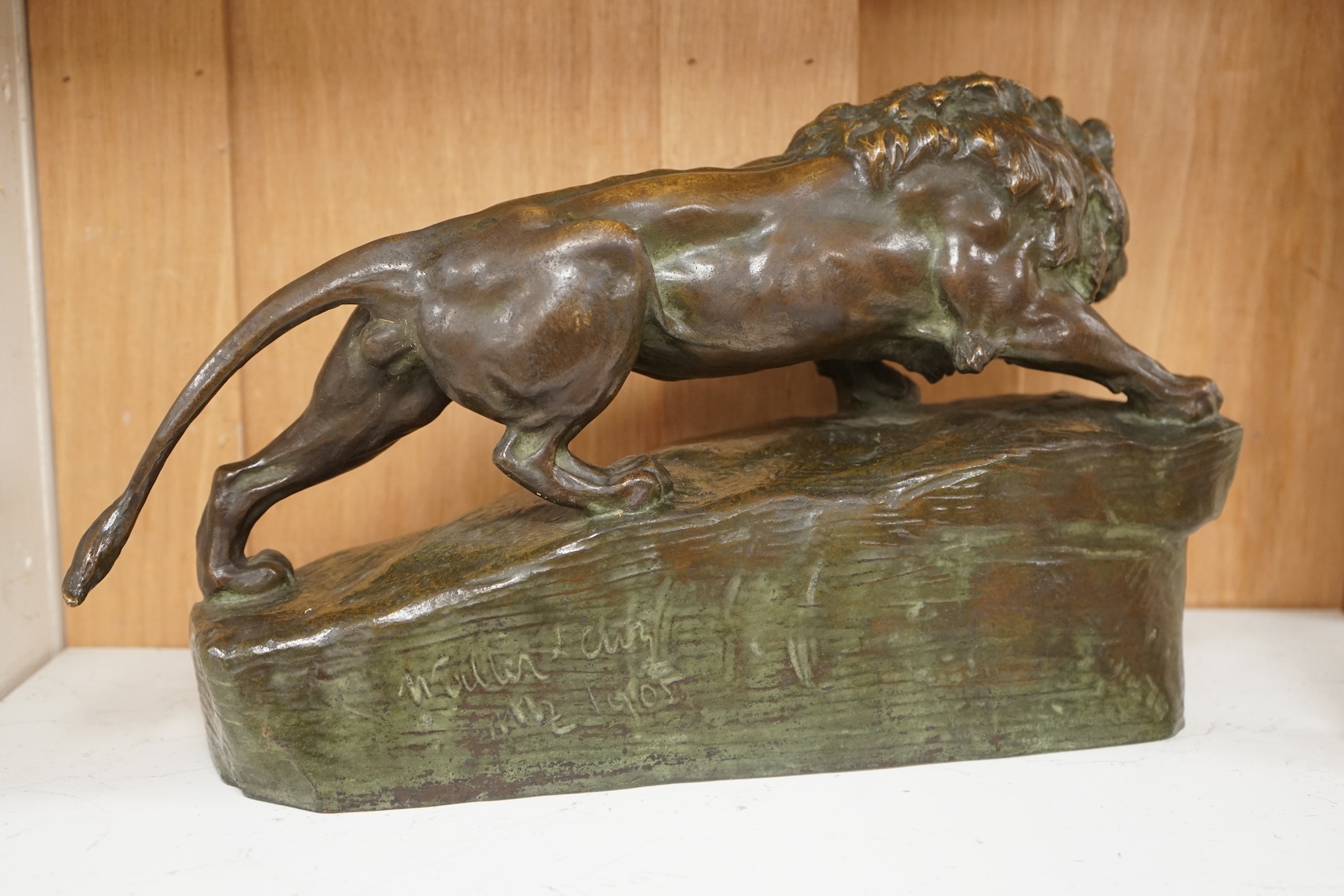 A bronze study of a lion, indistinctly signed and dated 1905, 40cm wide. Condition - good